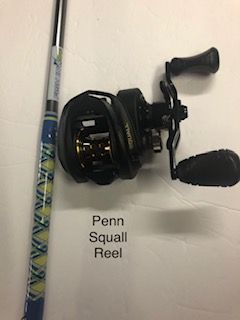 FISH IN OC CURLEY Q ROD FOR BAY / INSHORE COMBO - JPR Rods
